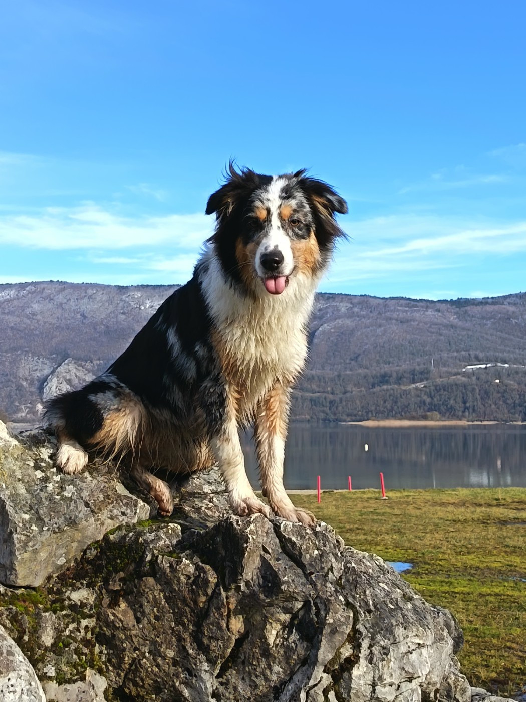 Athéna (Sans Affixe)
